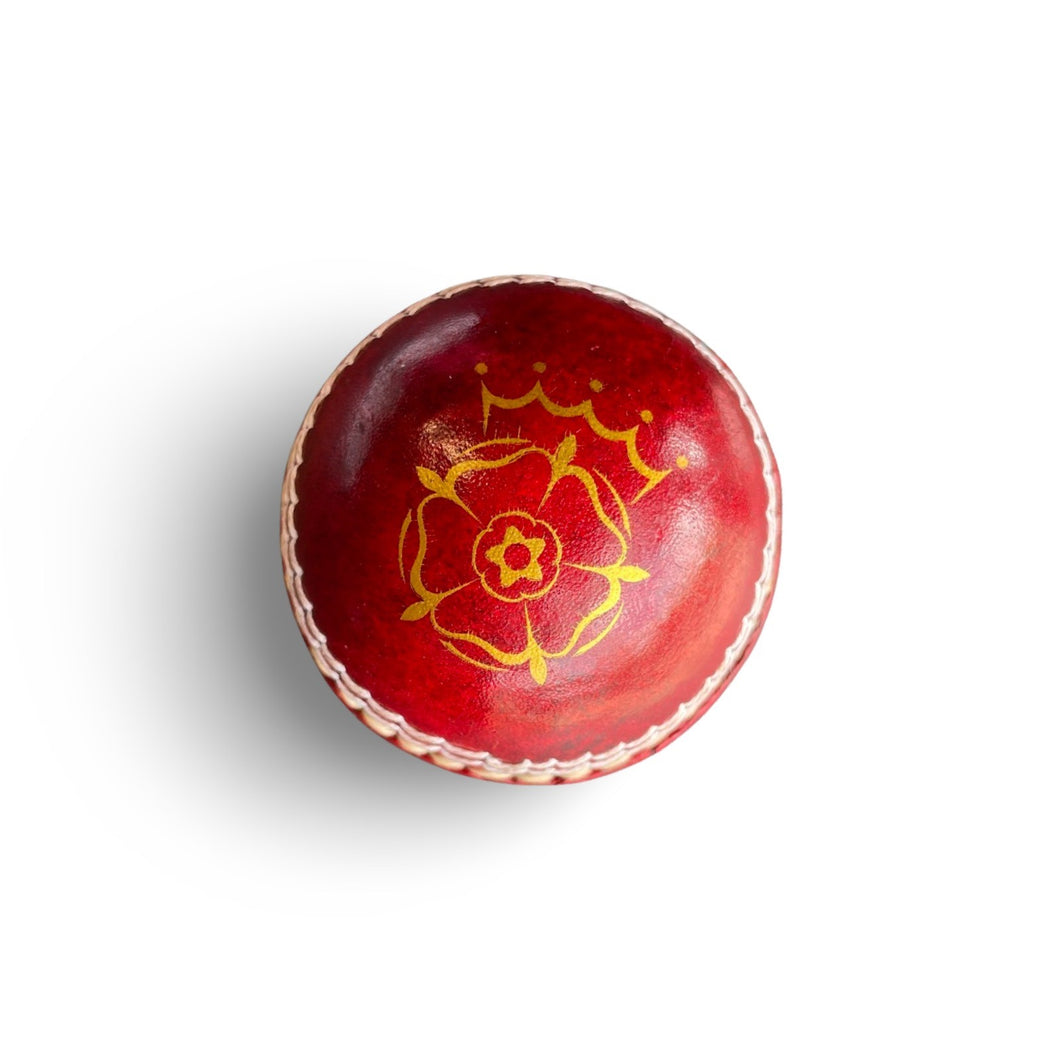 Hampshire Cricket Mini Hard Ball