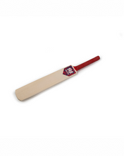 Load image into Gallery viewer, SOUTHERN BRAVE MINI AUTOGRAPH BATS
